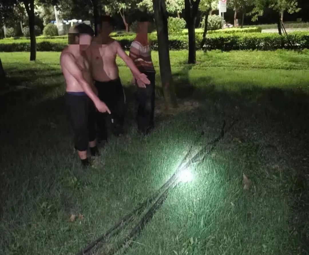 广西北海3名男子深夜偷挖10多米照明电缆，被当场抓获