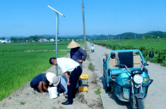 太阳能杀虫灯为江西九江彭泽县芙蓉农场农田“站岗放哨”