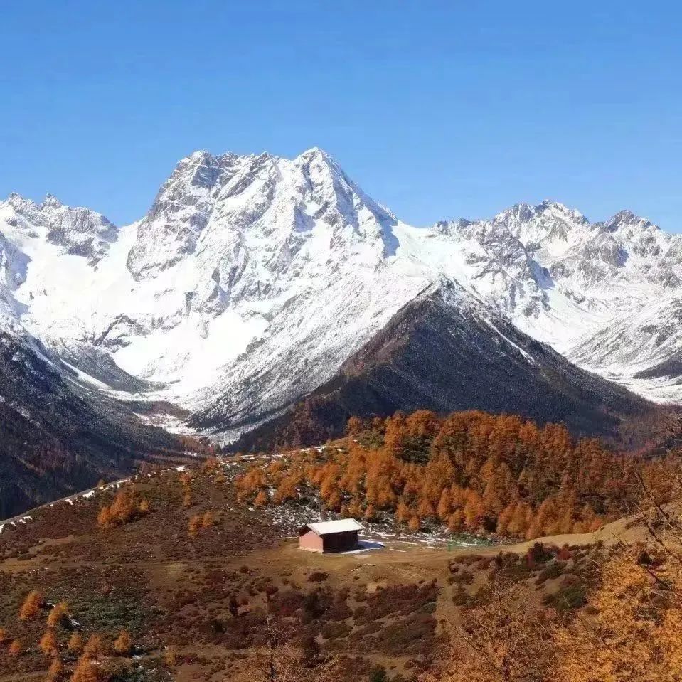 昕诺飞携手极地未来开启光与生物多样性科普旅程