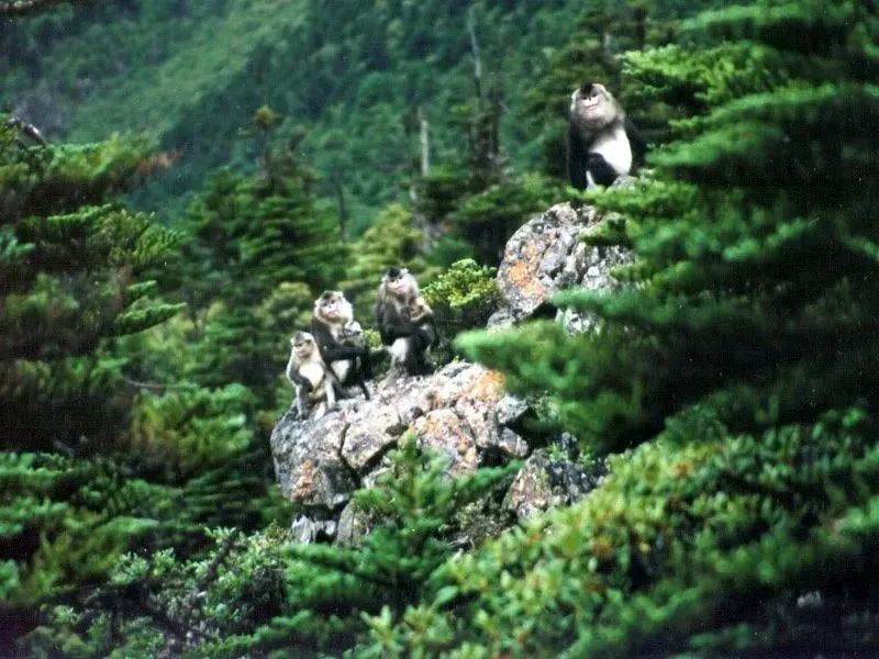 昕诺飞携手极地未来开启光与生物多样性科普旅程