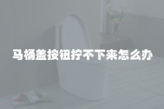 马桶盖按钮拧不下来怎么办