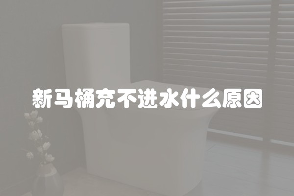 新马桶充不进水什么原因