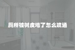 厕所被树皮堵了怎么疏通