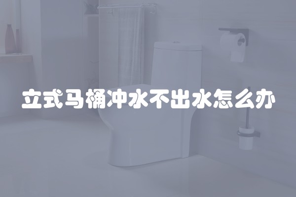 立式马桶冲水不出水怎么办