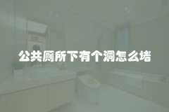 公共厕所下有个洞怎么堵