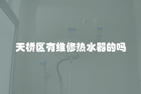 天桥区有维修热水器的吗