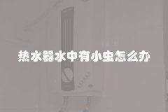 热水器水中有小虫怎么办