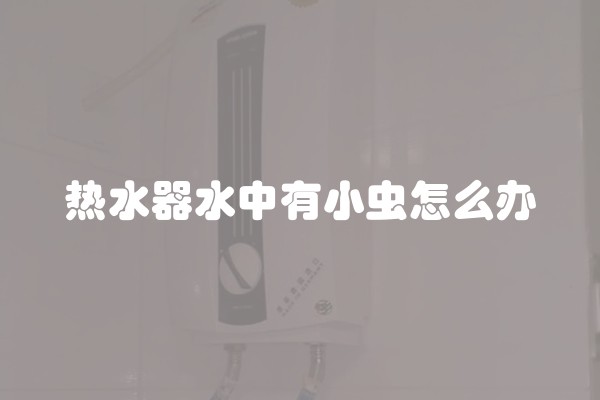 热水器水中有小虫怎么办