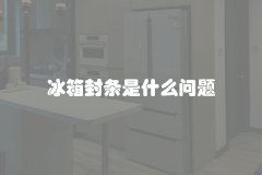 冰箱封条是什么问题