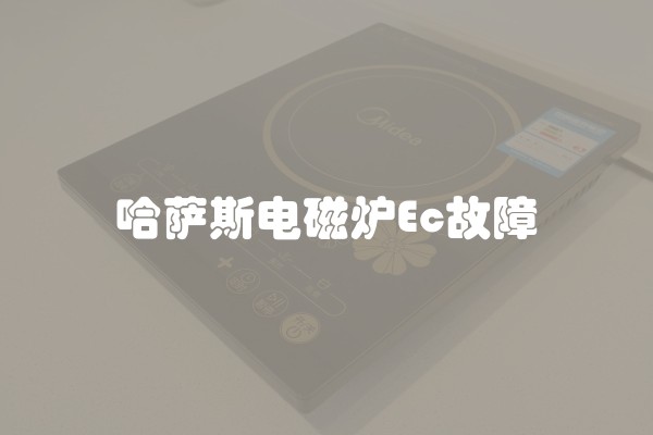 哈萨斯电磁炉Ec故障