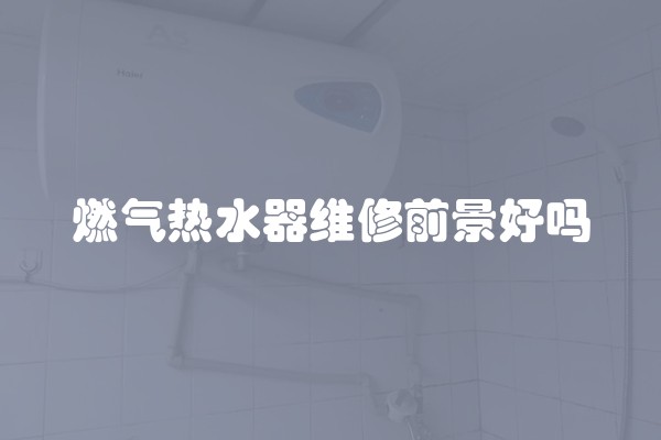 燃气热水器维修前景好吗