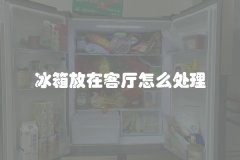 冰箱放在客厅怎么处理