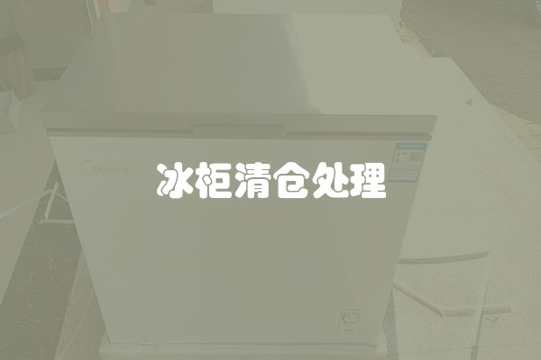 冰柜清仓处理