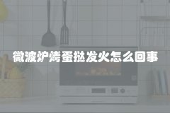 微波炉烤蛋挞发火怎么回事