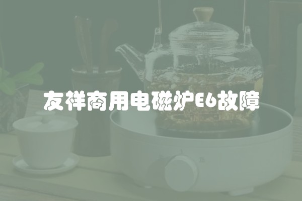 友祥商用电磁炉E6故障