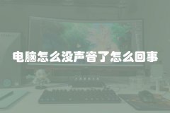 电脑怎么没声音了怎么回事