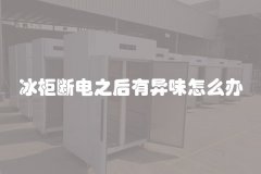 冰柜断电之后有异味怎么办