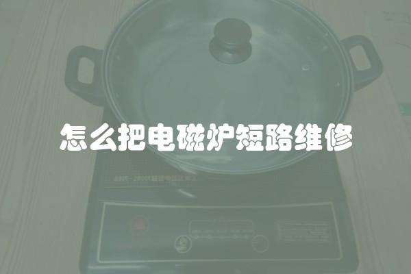 怎么把电磁炉短路维修