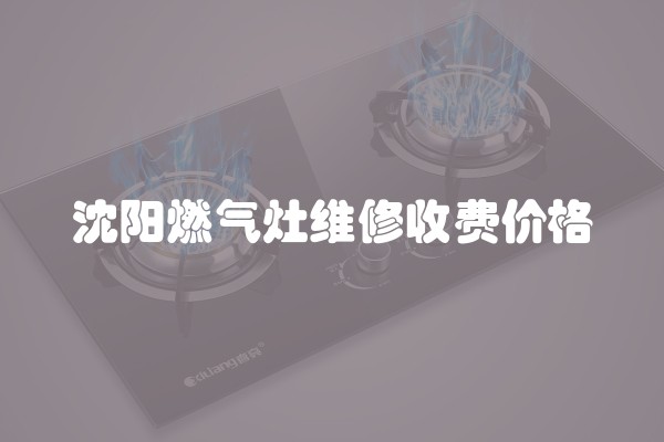 沈阳燃气灶维修收费价格