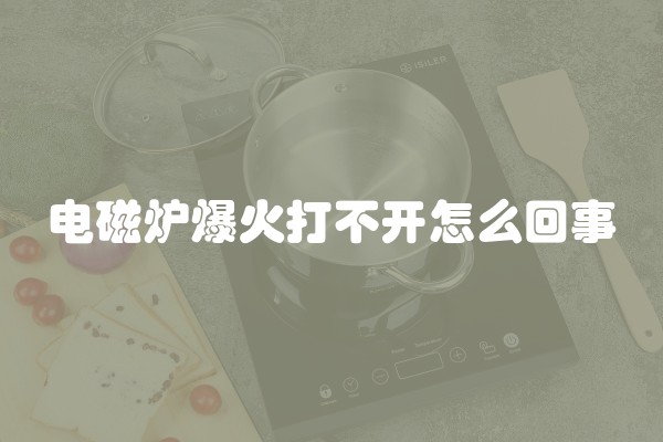 电磁炉爆火打不开怎么回事