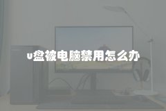 u盘被电脑禁用怎么办