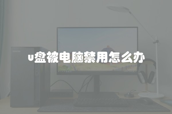 u盘被电脑禁用怎么办