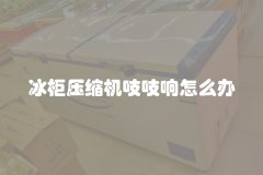 冰柜压缩机吱吱响怎么办