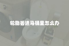 轮胎丢进马桶里怎么办