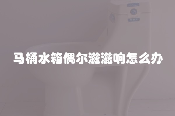 马桶水箱偶尔滋滋响怎么办