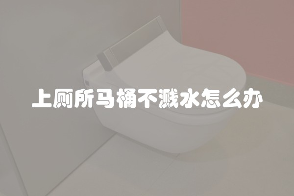 上厕所马桶不溅水怎么办