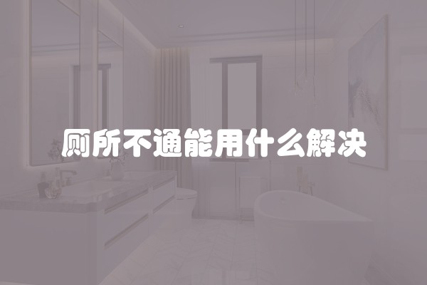 厕所不通能用什么解决