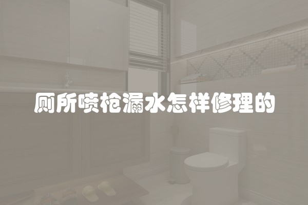 厕所喷枪漏水怎样修理的