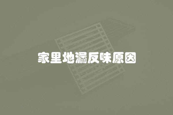 家里地漏反味原因