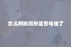 怎么判断厕所是否堵住了