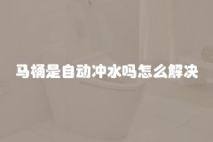 马桶是自动冲水吗怎么解决