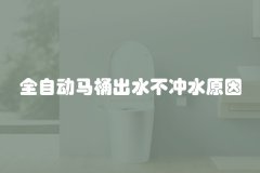 全自动马桶出水不冲水原因