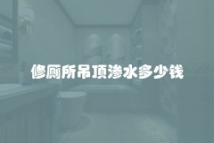 修厕所吊顶渗水多少钱