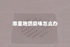 家里地漏臭味怎么办