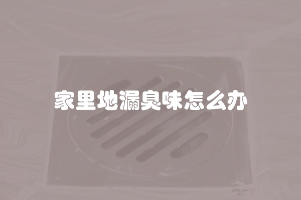 家里地漏臭味怎么办