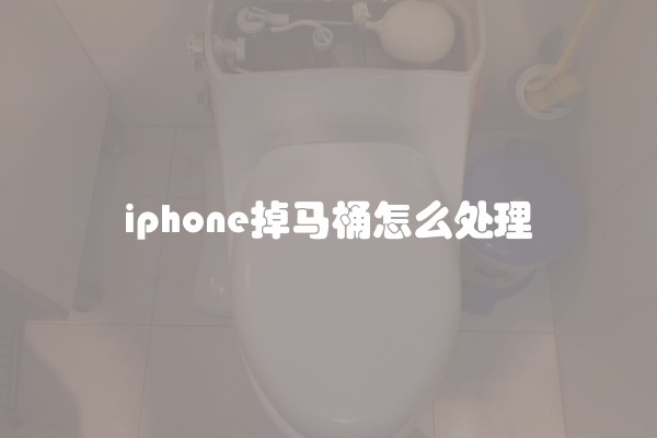 iphone掉马桶怎么处理