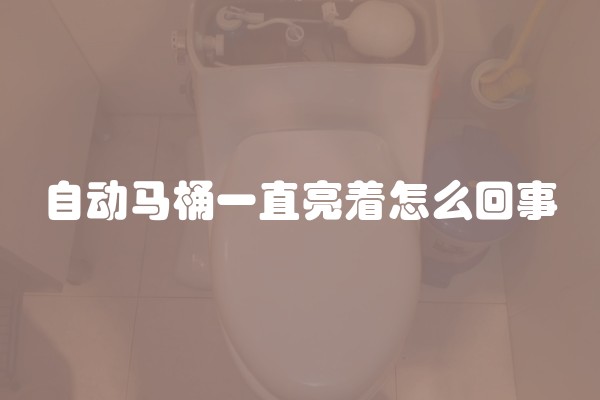 自动马桶一直亮着怎么回事