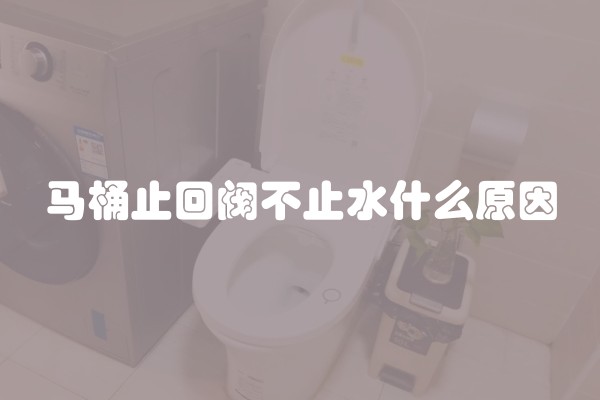 马桶止回阀不止水什么原因