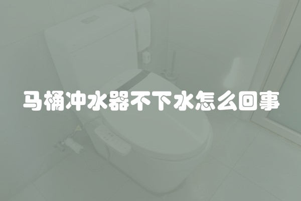 马桶冲水器不下水怎么回事