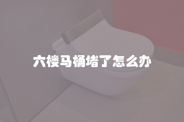 六楼马桶堵了怎么办