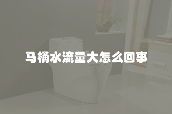 马桶水流量大怎么回事