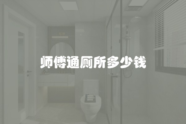 师傅通厕所多少钱