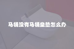 马桶没有马桶坐垫怎么办