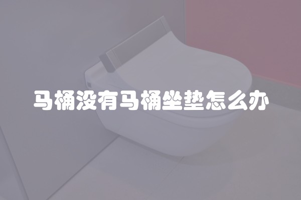 马桶没有马桶坐垫怎么办