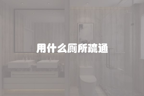 用什么厕所疏通