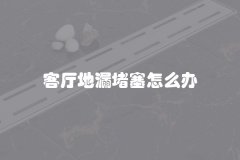 客厅地漏堵塞怎么办